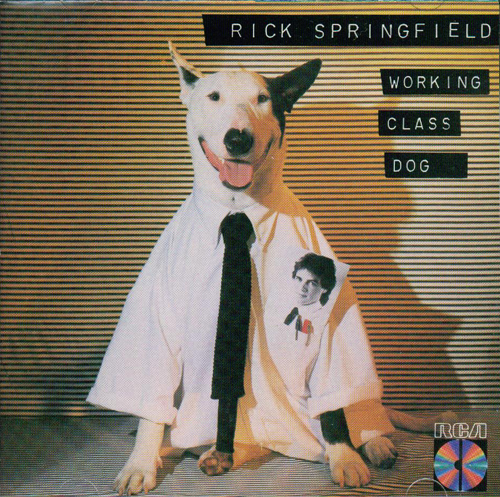 springfield working class dog cover_500